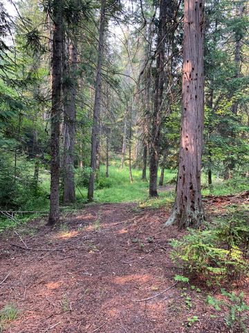 2423 L Quinns Meadow Rd, Colville, WA 99114