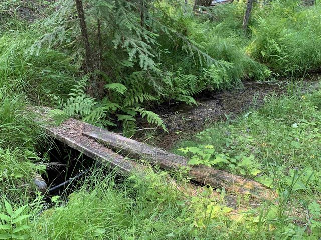 2423 L Quinns Meadow Rd, Colville, WA 99114