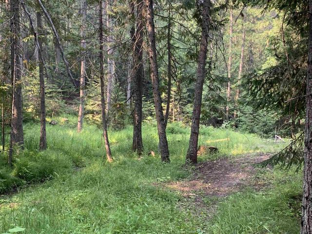 2423 L Quinns Meadow Rd, Colville, WA 99114