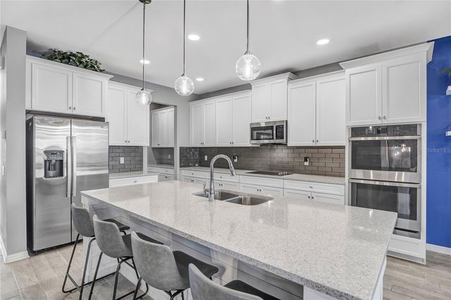 32455 SAPNA CHIME DRIVE, Wesley Chapel, FL 33545