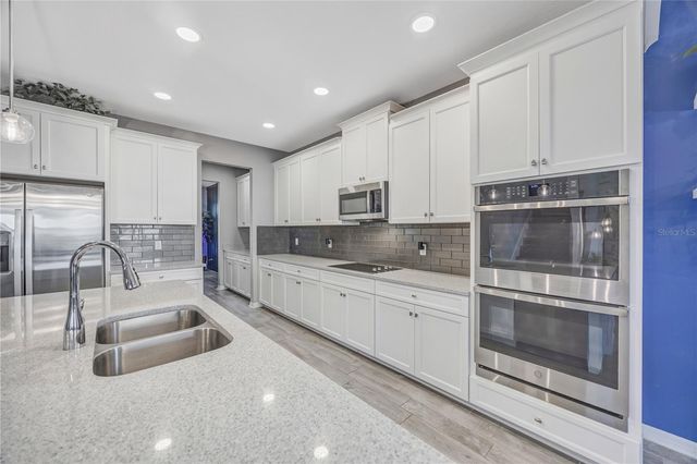 32455 SAPNA CHIME DRIVE, Wesley Chapel, FL 33545