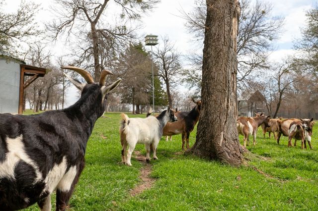 1615 Sanger Drive, Springtown, TX 76082