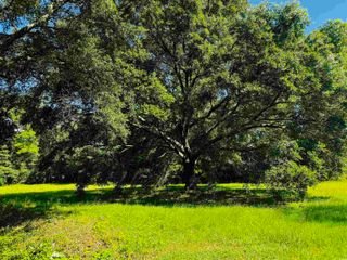 TBD South Bay St., Georgetown, SC 29440