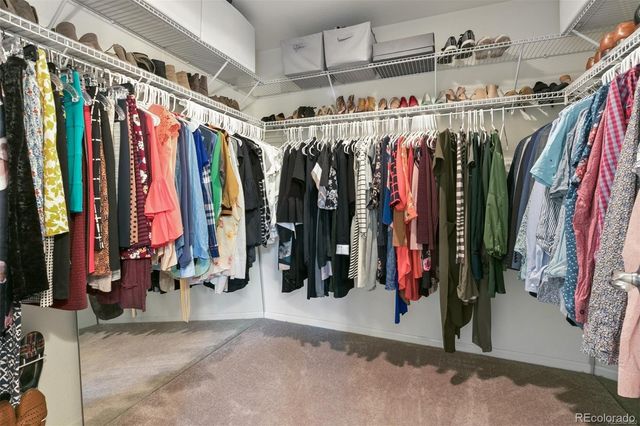 11796 Amston Lane, Parker, CO 80134