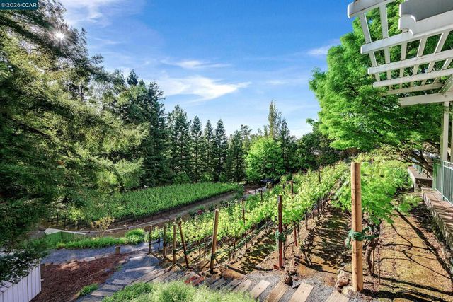 225 Pebble Ct, Alamo, CA 94507