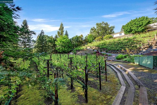 225 Pebble Ct, Alamo, CA 94507