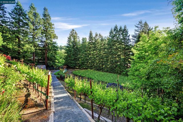 225 Pebble Ct, Alamo, CA 94507