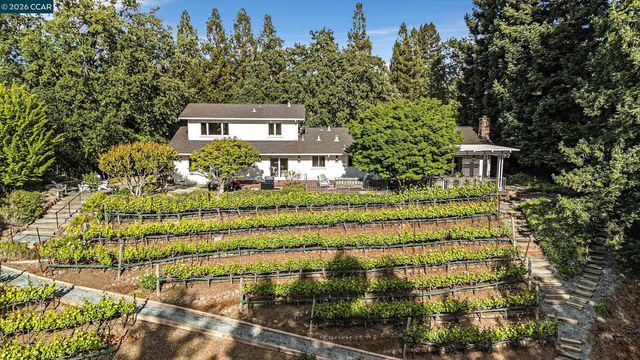 225 Pebble Ct, Alamo, CA 94507