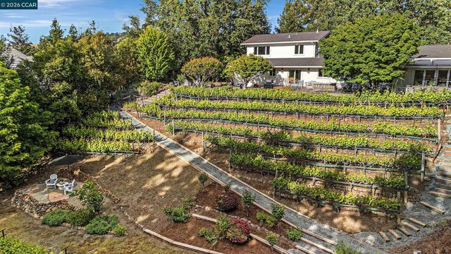 225 Pebble Ct, Alamo, CA 94507