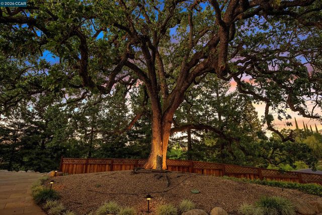 225 Pebble Ct, Alamo, CA 94507