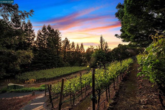 225 Pebble Ct, Alamo, CA 94507