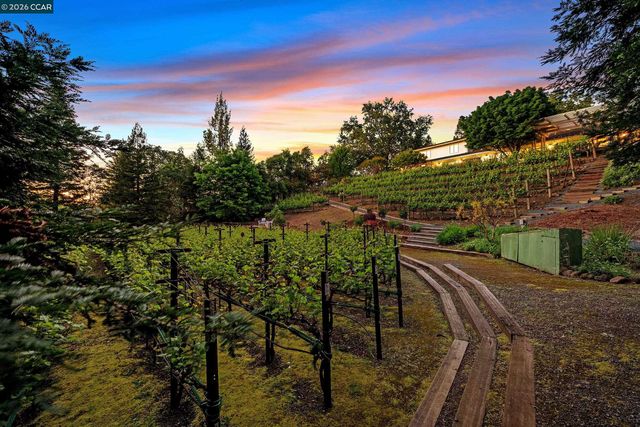 225 Pebble Ct, Alamo, CA 94507