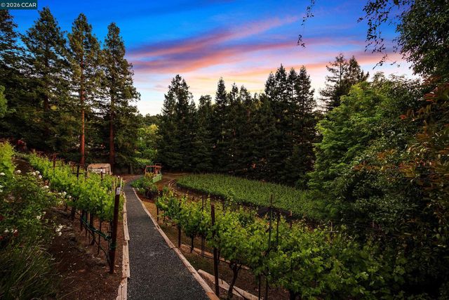 225 Pebble Ct, Alamo, CA 94507