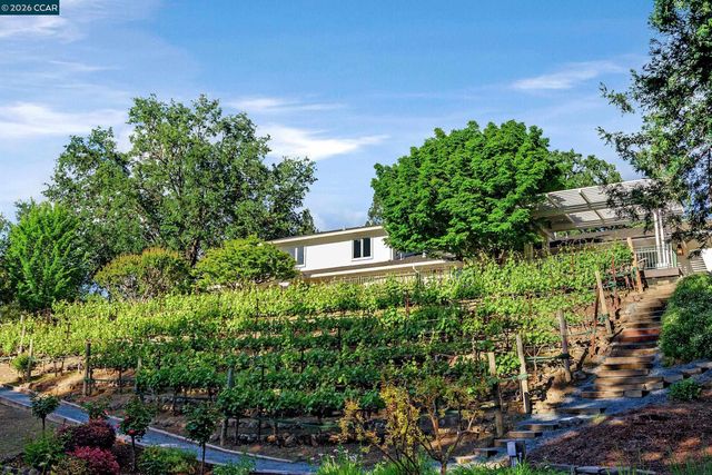 225 Pebble Ct, Alamo, CA 94507