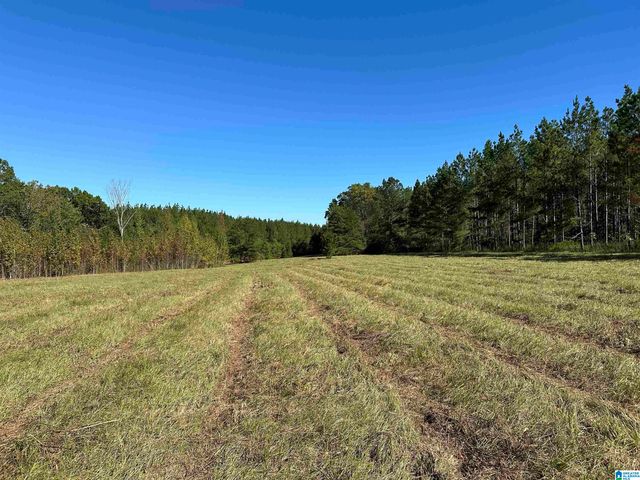 4434 COUNTY ROAD 86, Calera, AL 35040