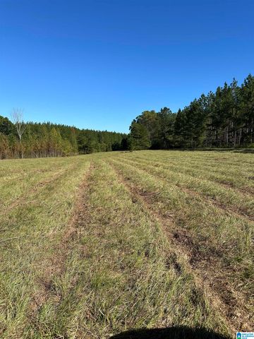 4434 COUNTY ROAD 86, Calera, AL 35040