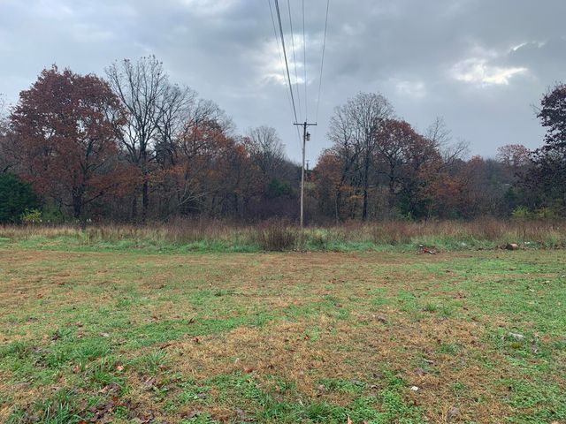 428 & 438 Prospect Road, Kirbyville, MO 65679