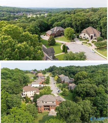 115 Grand Cove Place, Madison, AL 35758