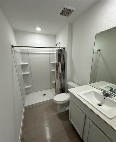 29023 Rustic Windmill Way, Hockley, TX 77447