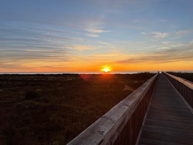 4147 Great Blue Heron Drive, Galveston, TX 77554