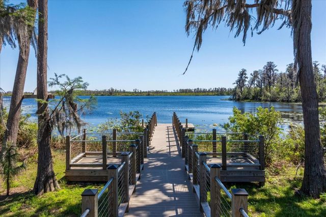 17504 SAW PALMETTO AVENUE, Clermont, FL 34714