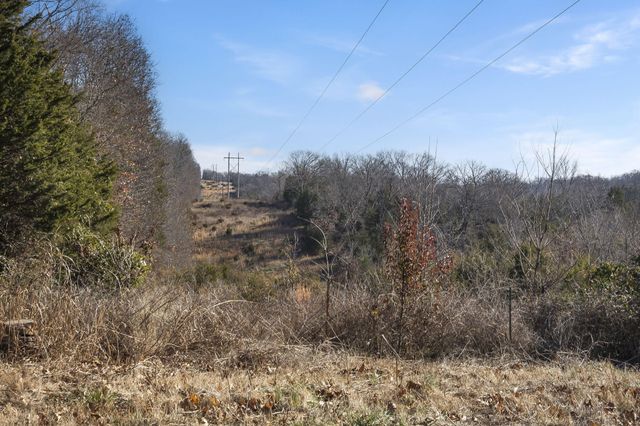 245 Country Hills Drive, Branson, MO 65616