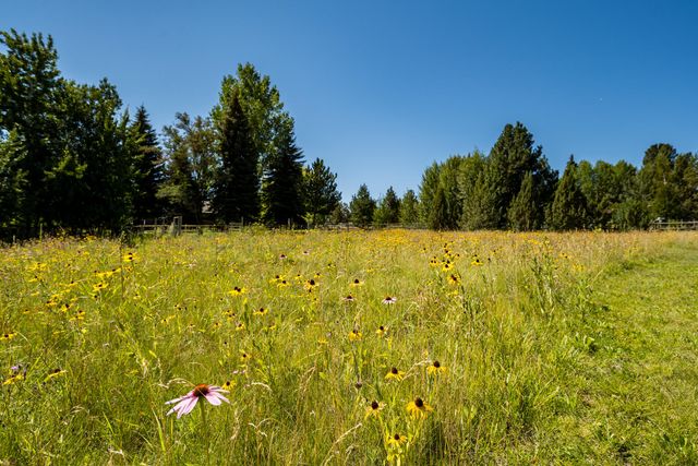 22030 Stormy Lane, Bend, OR 97701