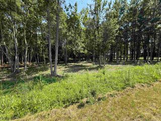 Lot 4 Highway 668, Conway, SC 29526