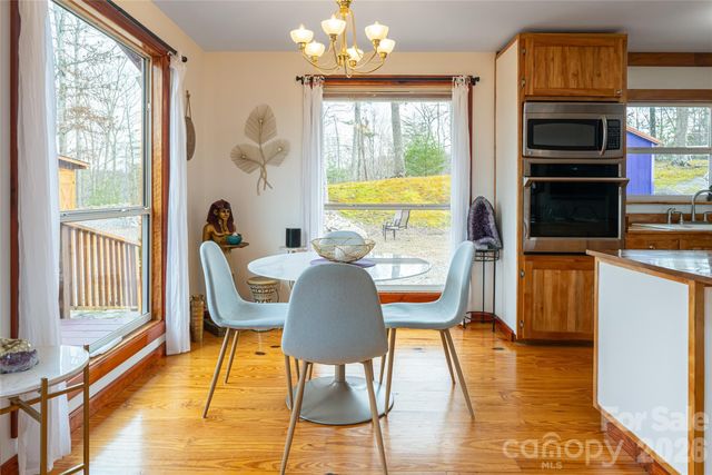 288 Rebel Drive, Hot Springs, NC 28743