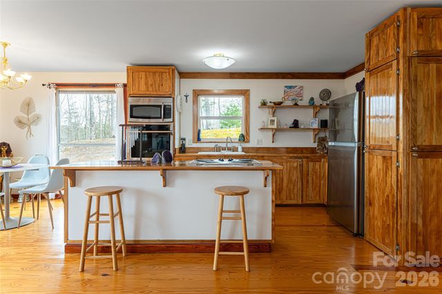 288 Rebel Drive, Hot Springs, NC 28743