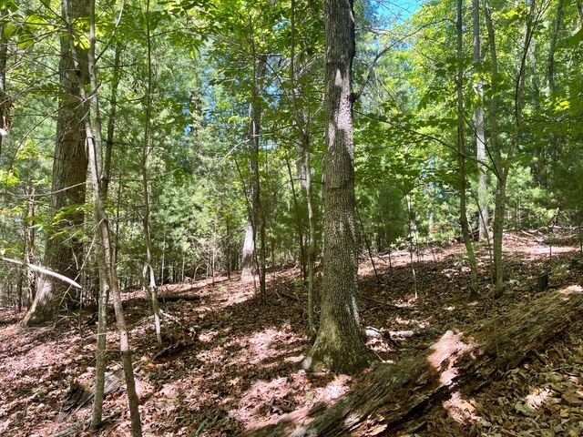 Lot 2 Mount Pleasant Ridge Road, Blairsville, GA 30512