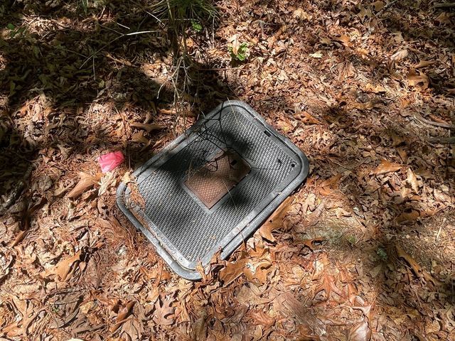Lot 2 Mount Pleasant Ridge Road, Blairsville, GA 30512