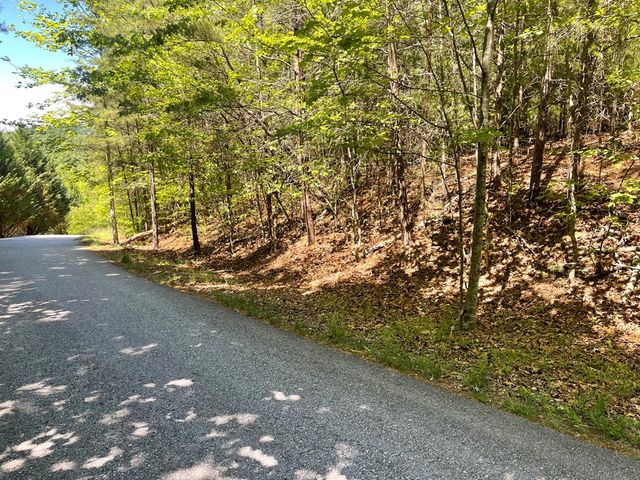 Lot 2 Mount Pleasant Ridge Road, Blairsville, GA 30512