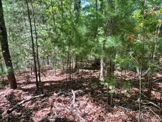 Lot 2 Mount Pleasant Ridge Road, Blairsville, GA 30512