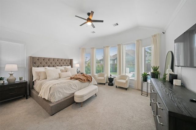 17437 Violet Vineyard Street, Conroe, TX 77302