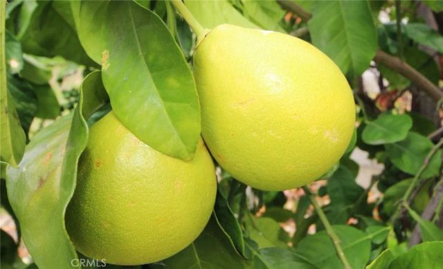 5814 Timbermist Place, Alta Loma, CA 91737