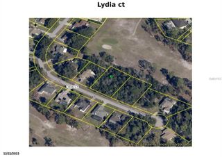 LYDIA COURT, Spring Hill, FL 34608