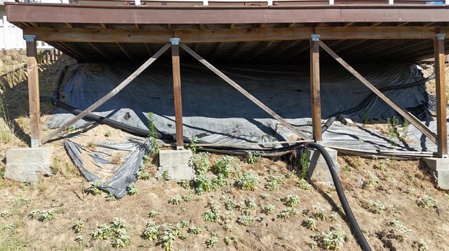 39925 Lilley Mountain Drive, Coarsegold, CA 93614