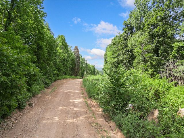 267B NC 3320, Marble Falls, AR 72648