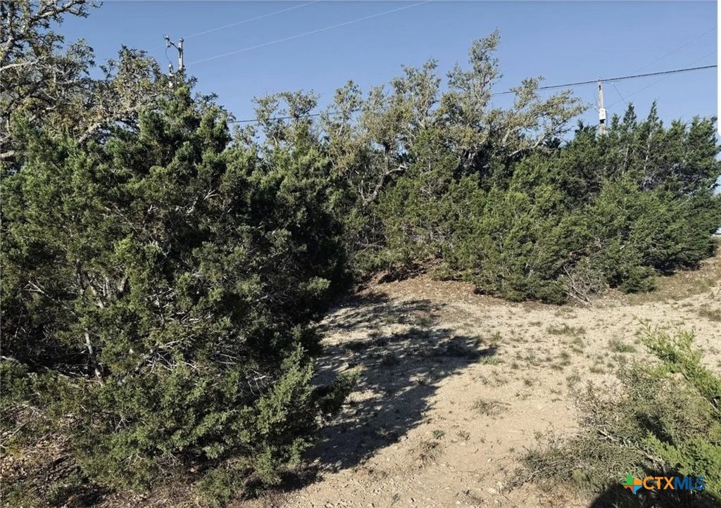 1111 Rocky Ridge Loop, Canyon Lake, TX 78133