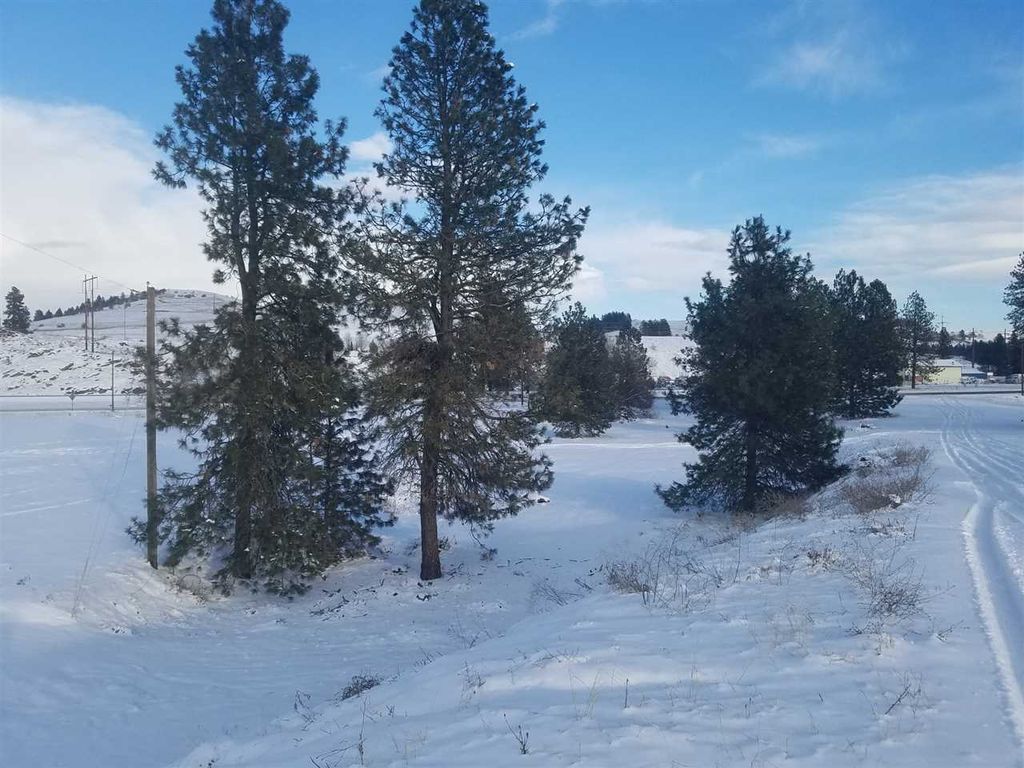 8817 N Market St, Spokane, WA 99217 photo 6