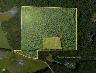 1096 Kadir Womble Drive, New Hill, NC 27562