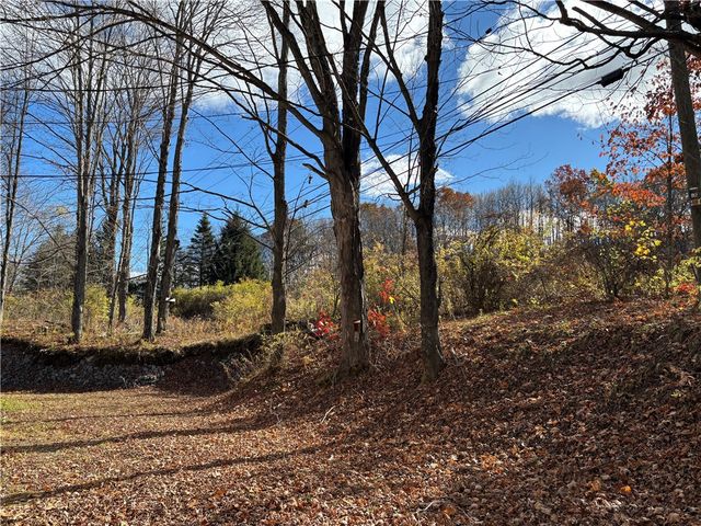 1516 Southside Drive, Davenport, NY 13820