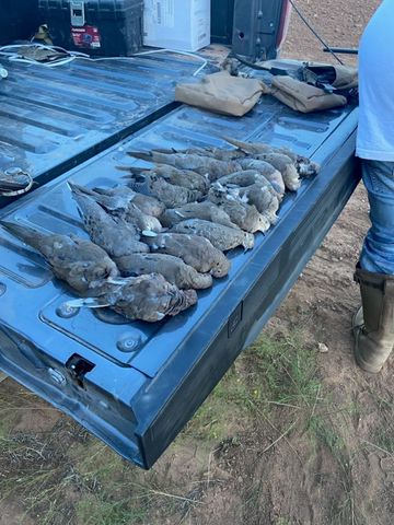 159 Kissinger & Turkey Creek, Seymour, TX 76380