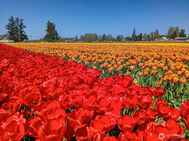 1724 Sunset Drive, Burlington, WA 98233