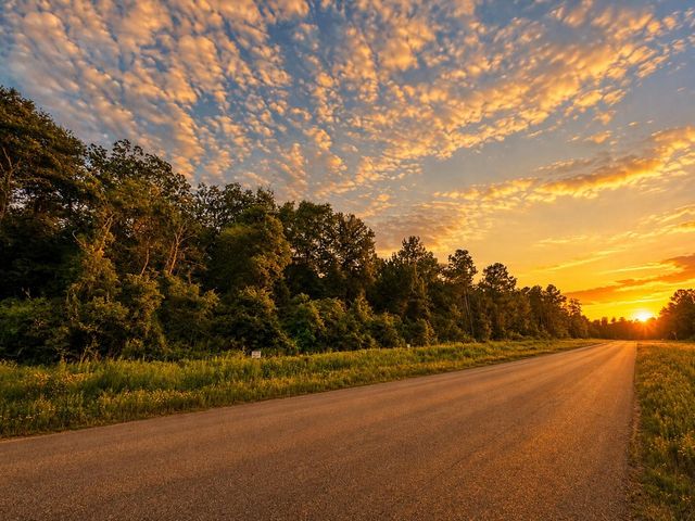 12856 Oak Barrel Road, Willis, TX 77378
