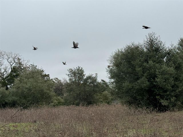 1890 Sandy Fork RD, Harwood, TX 78632