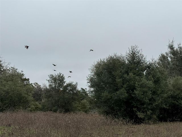 1890 Sandy Fork RD, Harwood, TX 78632