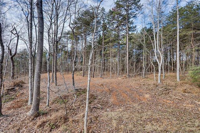 856 Ponderosa Heights Place, Asheboro, NC 27205