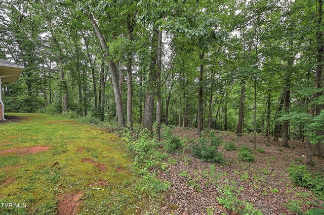 145 Zeb Grindstaff Road, Elizabethton, TN 37643